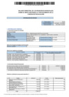 Vista preliminar de documento BALANCE SEMESTRAL CATACHE