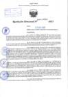 Vista preliminar de documento R.D N° 032-2025