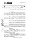 Vista preliminar de documento RDR 10707-2024