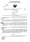 Vista preliminar de documento RDR 10712-2024