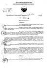 Vista preliminar de documento RDR 10713-2024