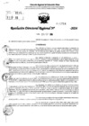 Vista preliminar de documento RDR 10714-2024