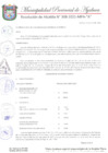 Vista preliminar de documento RESOLUCION DE ALCALDIA N°308-2021-MPA-A