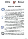Vista preliminar de documento Resolución Directoral N013 -2025-DRSL-RL-HH-SBS