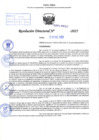 Vista preliminar de documento R.D N° 037-2025