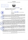 Vista preliminar de documento R.D N° 038-2025