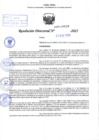 Vista preliminar de documento R.D N° 039-2025