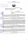 Vista preliminar de documento R.D N° 043-2025