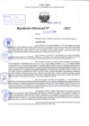 Vista preliminar de documento R.D N° 045-2025