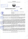 Vista preliminar de documento R.D N° 047-2025