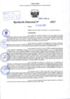 Vista preliminar de documento R.D N° 048-2025