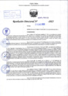 Vista preliminar de documento R.D N° 049-2025
