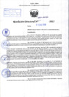 Vista preliminar de documento R.D N° 050-2025