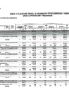 Vista preliminar de documento Anexo 4 cuadro multianual de necesidades