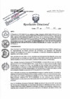 Vista preliminar de documento RD N° 014-2025-DE/HJATCH