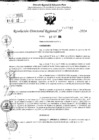 Vista preliminar de documento RDR 10742-2024