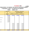 Vista preliminar de documento Información del Marco Presupuestal, Ingresos y Egresos - Correspondientes al I Trimestre 2017