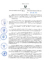 Vista preliminar de documento RES-041-2025-GRDS