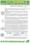 Vista preliminar de documento RADMIN 005 2025