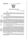 Vista preliminar de documento R.D.E. Nº010-2025-HNAL-OEA