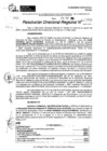 Vista preliminar de documento RDR 10755-2024