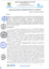 Vista preliminar de documento rgi871