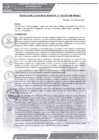 Vista preliminar de documento rgm-015