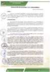 Vista preliminar de documento rgm-017