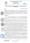 Vista preliminar de documento rgi11