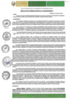 Vista preliminar de documento RGM-032-2025-GM-MPLC