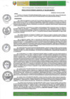 Vista preliminar de documento RGM-040-2025-GM-MPLC