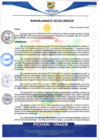 Vista preliminar de documento rgm3