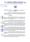 Vista preliminar de documento Resolución Directoral 004 - 2025