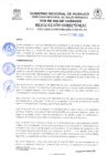Vista preliminar de documento RD-019-2025-GRHCO-DRS-DIREDHCO-DE-DA-UL