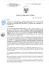 Vista preliminar de documento RD-0376-2025-DSAIA-DIRIS-LE-MINSA