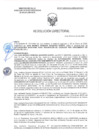 Vista preliminar de documento RD-0377-2025-DSAIA-DIRIS-LE-MINSA