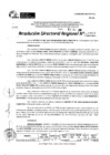 Vista preliminar de documento RDR 10763-2024