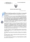 Vista preliminar de documento RD-0381-2025-DSAIA-DIRIS-LE-MINSA