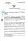 Vista preliminar de documento RD-0386-2025-DSAIA-DIRIS-LE-MINSA