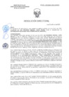 Vista preliminar de documento RD-0390-2025-DSAIA-DIRIS-LE-MINSA
