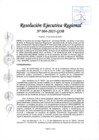 Vista preliminar de documento RER 004-2025-GOB