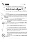 Vista preliminar de documento RDR 10771-2024