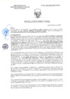 Vista preliminar de documento RD-0392-2025-DSAIA-DIRIS-LE-MINSA