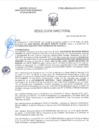 Vista preliminar de documento RD-0394-2025-DSAIA-DIRIS-LE-MINSA