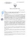 Vista preliminar de documento RD-0395-2025-DSAIA-DIRIS-LE-MINSA