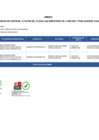 Vista preliminar de documento ANEXO - RM N° 010-2025-MIMP