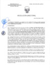 Vista preliminar de documento RD-0382-2025-DSAIA-DIRIS-LE-MINSA
