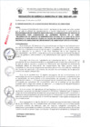 Vista preliminar de documento RG028-2025