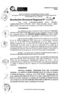Vista preliminar de documento RDR 10783-2024