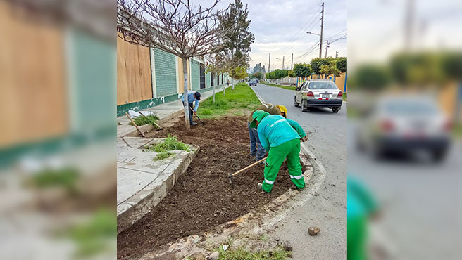 Personal municipal preparando el terreno para el sembrado de grass